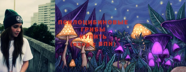 молекула духа Приозерск