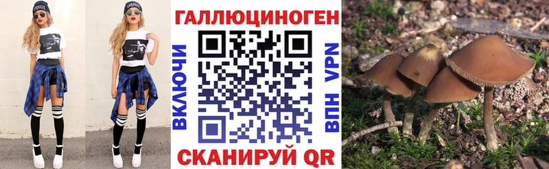 Псилоцибиновые грибы мухоморы  darknet как зайти  Костерёво 